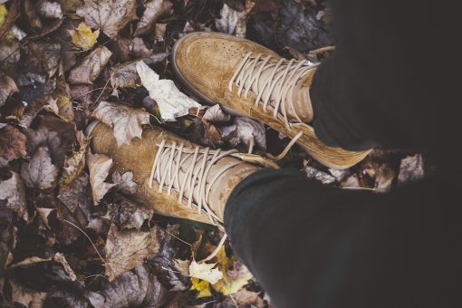 Air Jordan 1 High OG “Wheat”