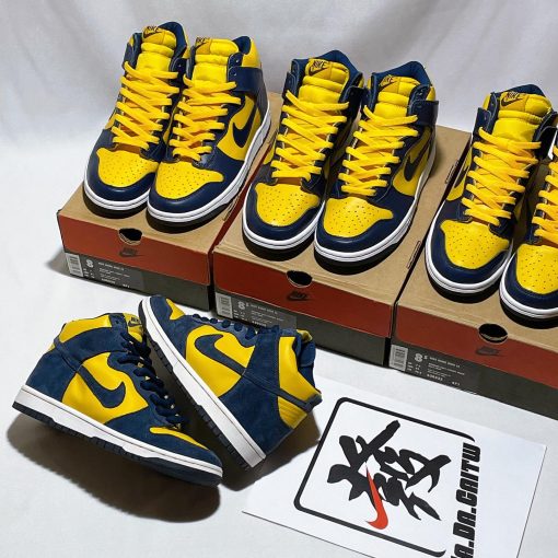 Dunk High Pro SB Michigan