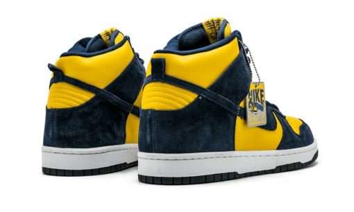 Dunk High Pro SB Michigan